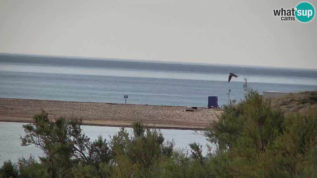 Webcam Chia – Live View of Su Giudeu Beach