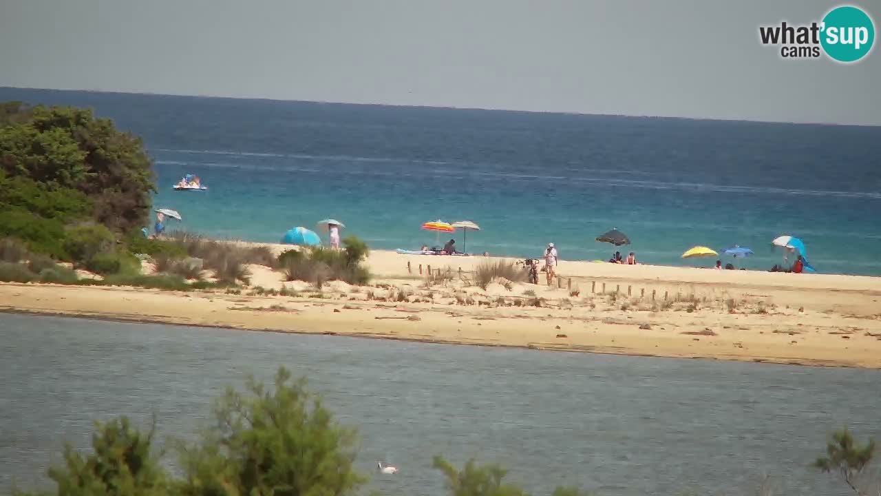 Webcam Chia – Live View of Su Giudeu Beach