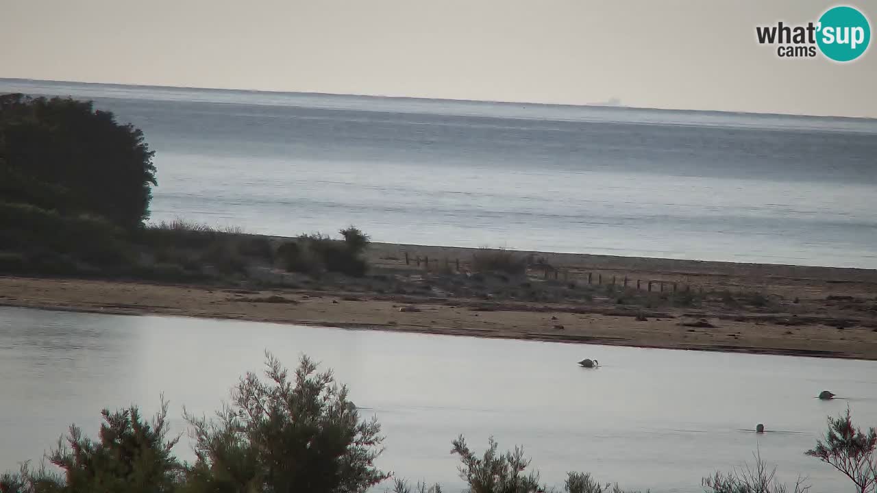 Webcam Chia – Liveblick auf den Strand Su Giudeu