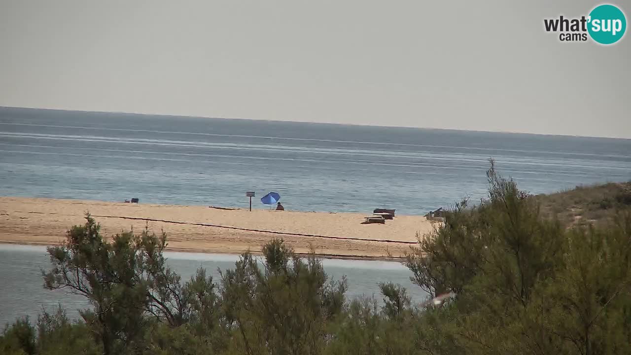 Webcam Chia – Live View of Su Giudeu Beach