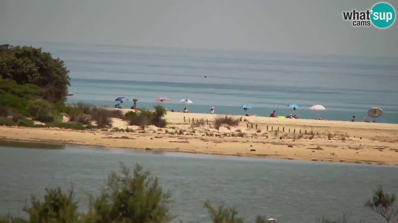 Webcam Chia – Vue en direct de la plage Su Giudeu
