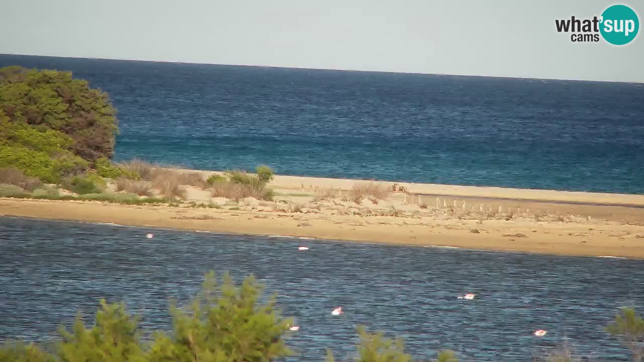 Webcam Chia – Vista en directo de la playa Su Giudeu