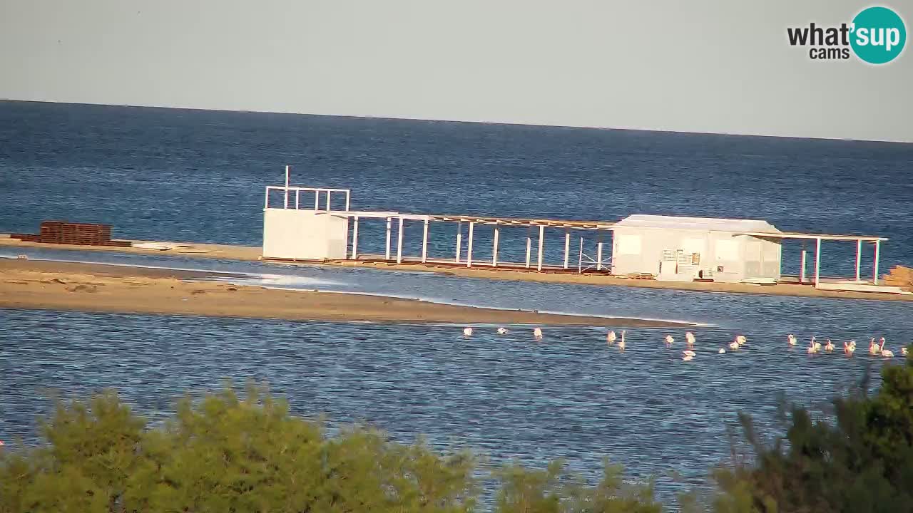 Webcam Chia – Vue en direct de la plage Su Giudeu