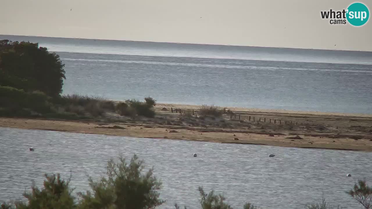 Webcam Chia – Live View of Su Giudeu Beach