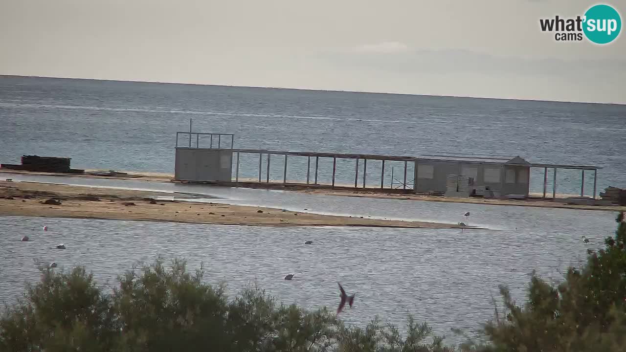 Webcam Chia – Live View of Su Giudeu Beach