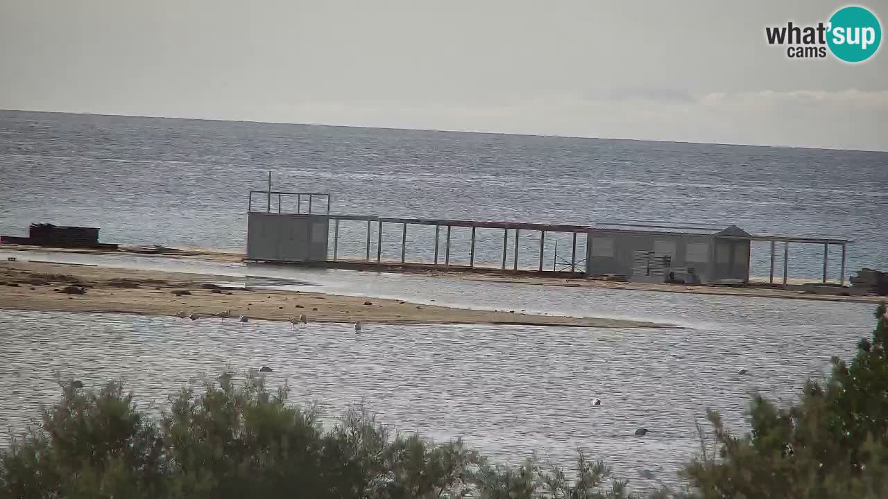 Webcam Chia – Live View of Su Giudeu Beach
