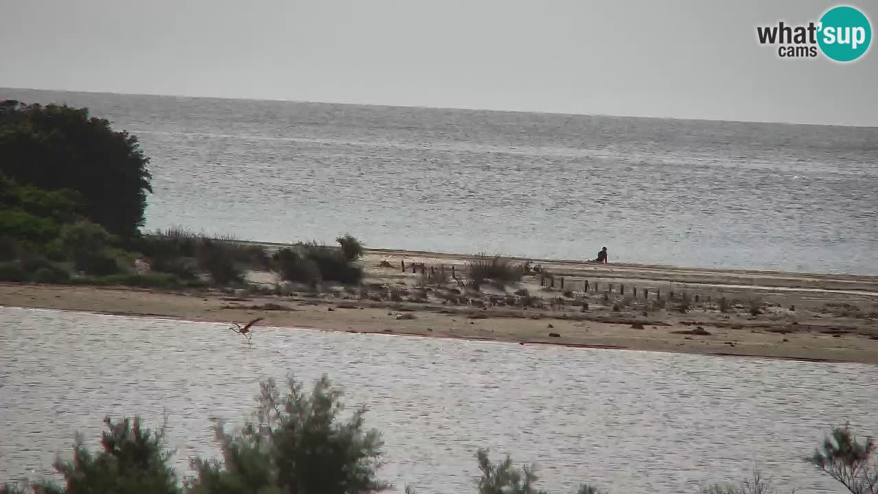 Webcam Chia – Live View of Su Giudeu Beach