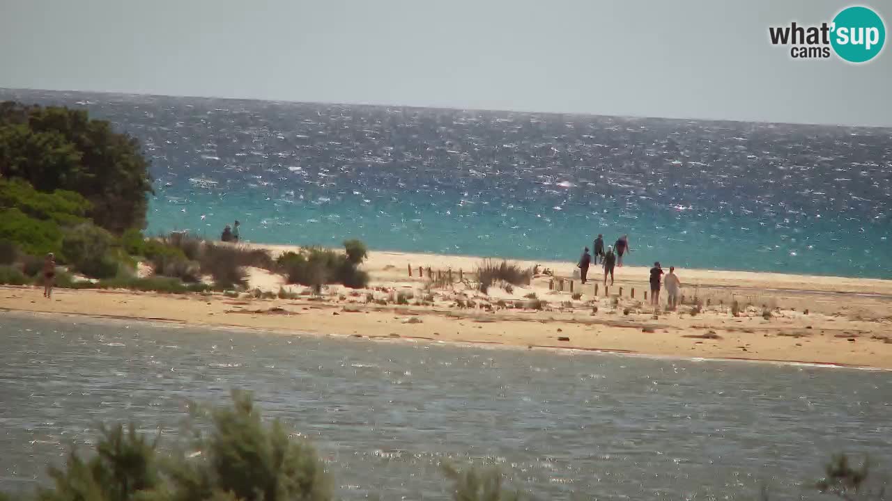 Webcam Chia – Live View of Su Giudeu Beach