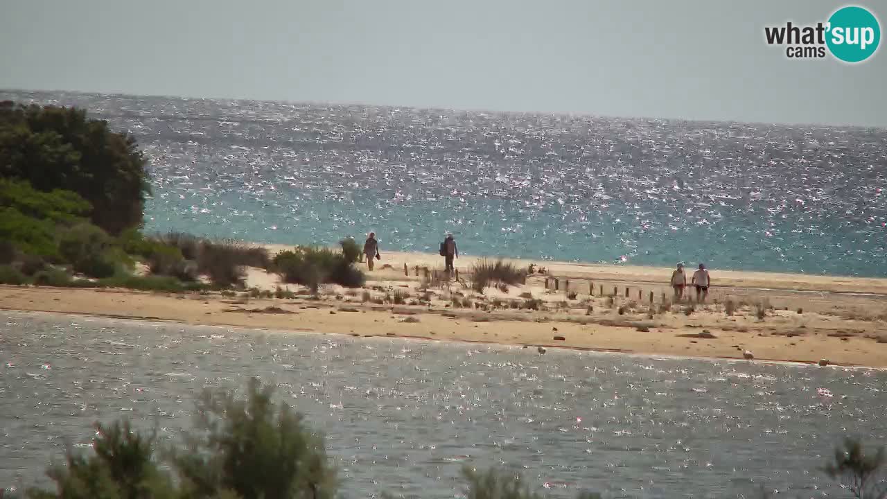 Webcam Chia – Live View of Su Giudeu Beach