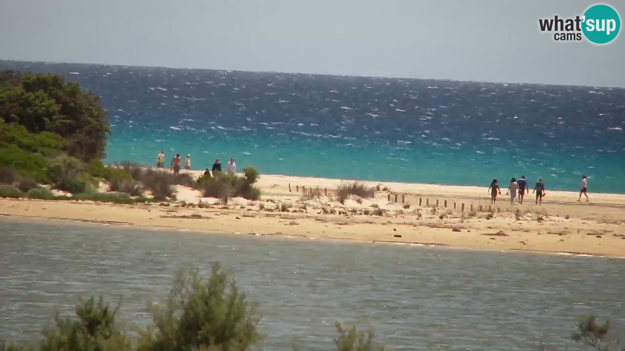 Spletna kamera Chia – Pogled v živo na plažo Su Giudeu