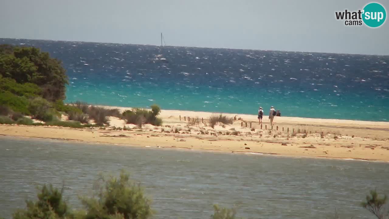 Webcam Chia – Vue en direct de la plage Su Giudeu