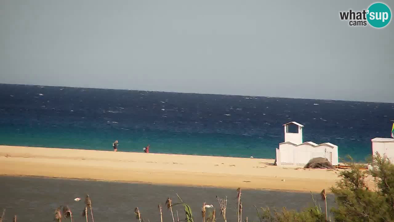 Webcam Chia – Vue en direct de la plage Su Giudeu