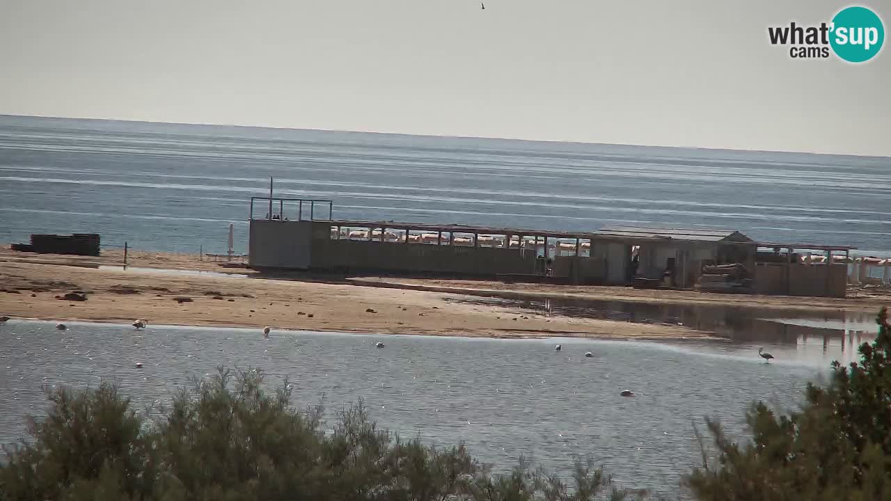 Webcam Chia – Live View of Su Giudeu Beach
