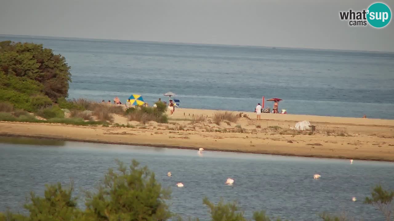 Webcam Chia – Vue en direct de la plage Su Giudeu