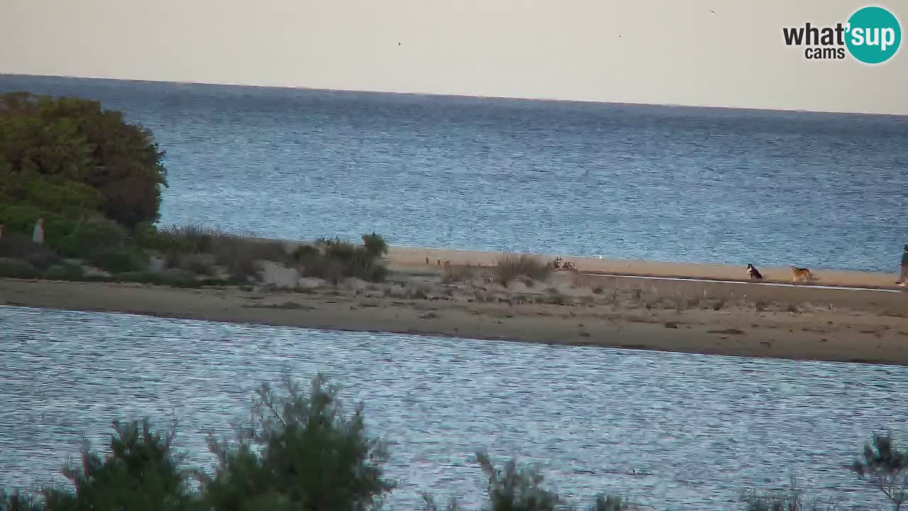 Webcam Chia – Live View of Su Giudeu Beach