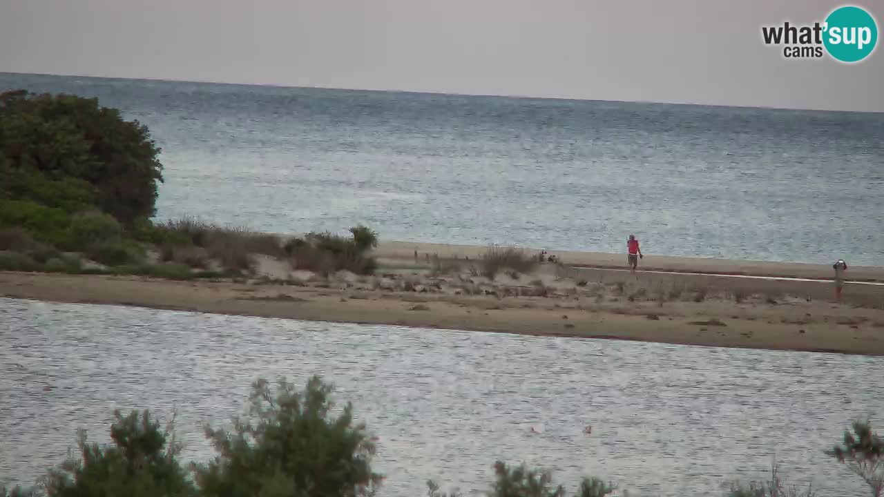 Webcam Chia – Live View of Su Giudeu Beach