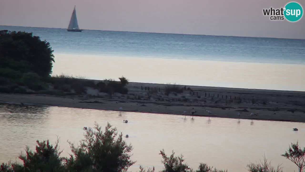 Webcam Chia – Vista en directo de la playa Su Giudeu