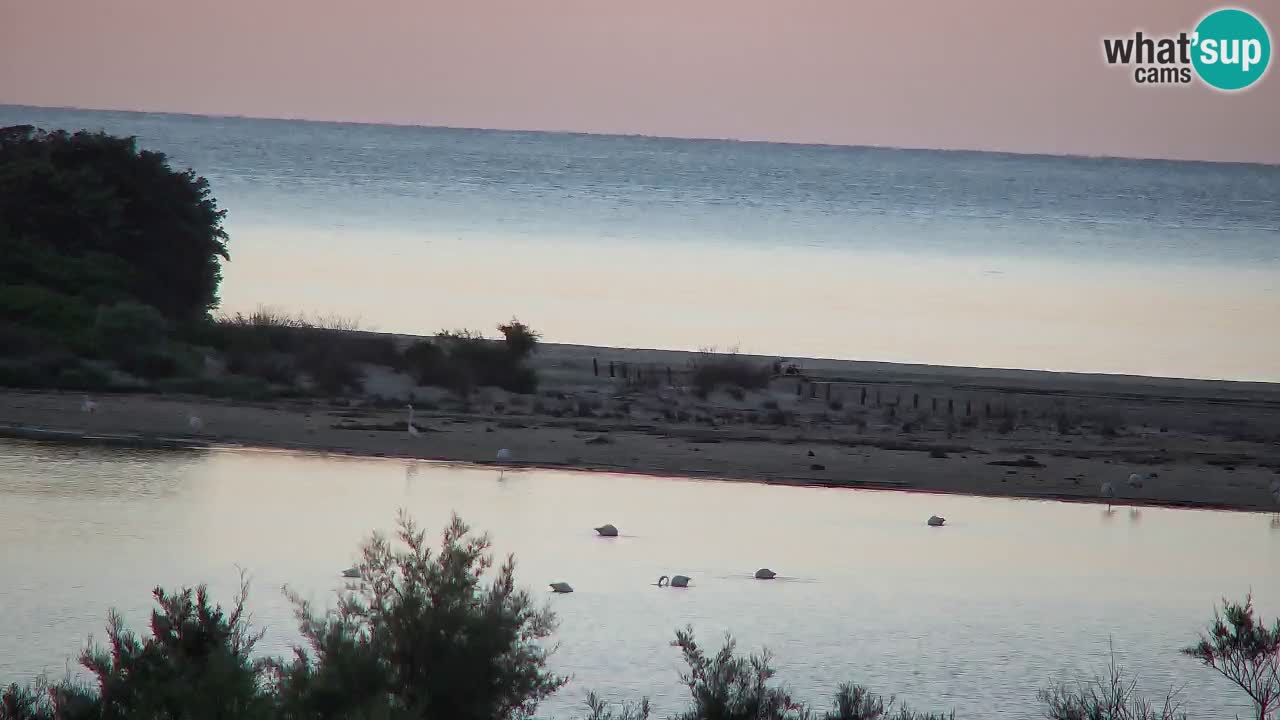 Spletna kamera Chia – Pogled v živo na plažo Su Giudeu