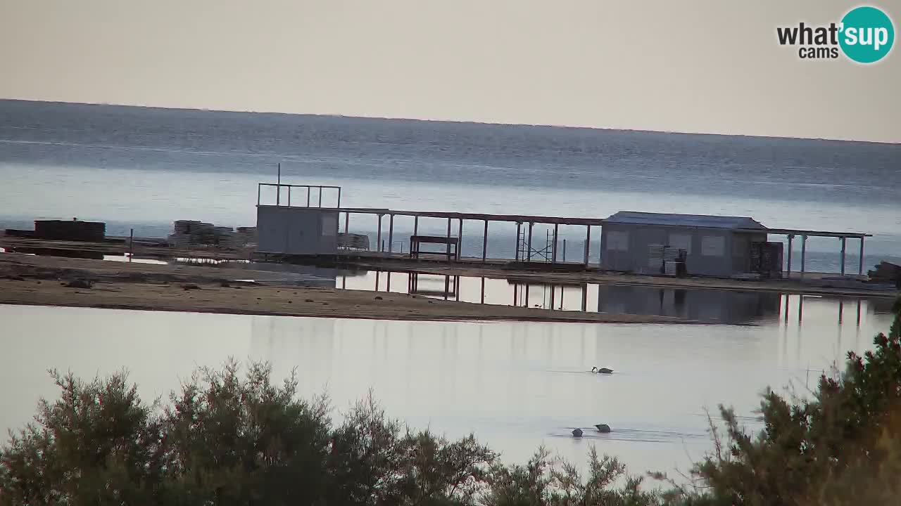 Webcam Chia – Vue en direct de la plage Su Giudeu