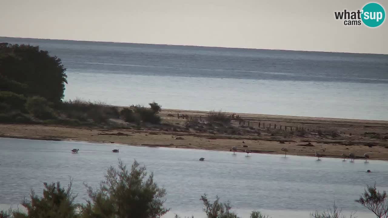 Webcam Chia – Vista en directo de la playa Su Giudeu