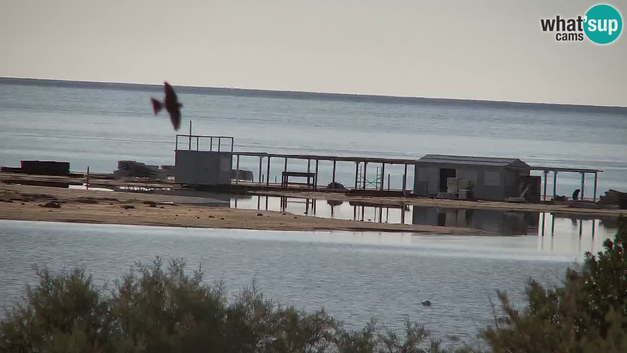 Webcam Chia – Spiaggia Su Giudeu in diretta