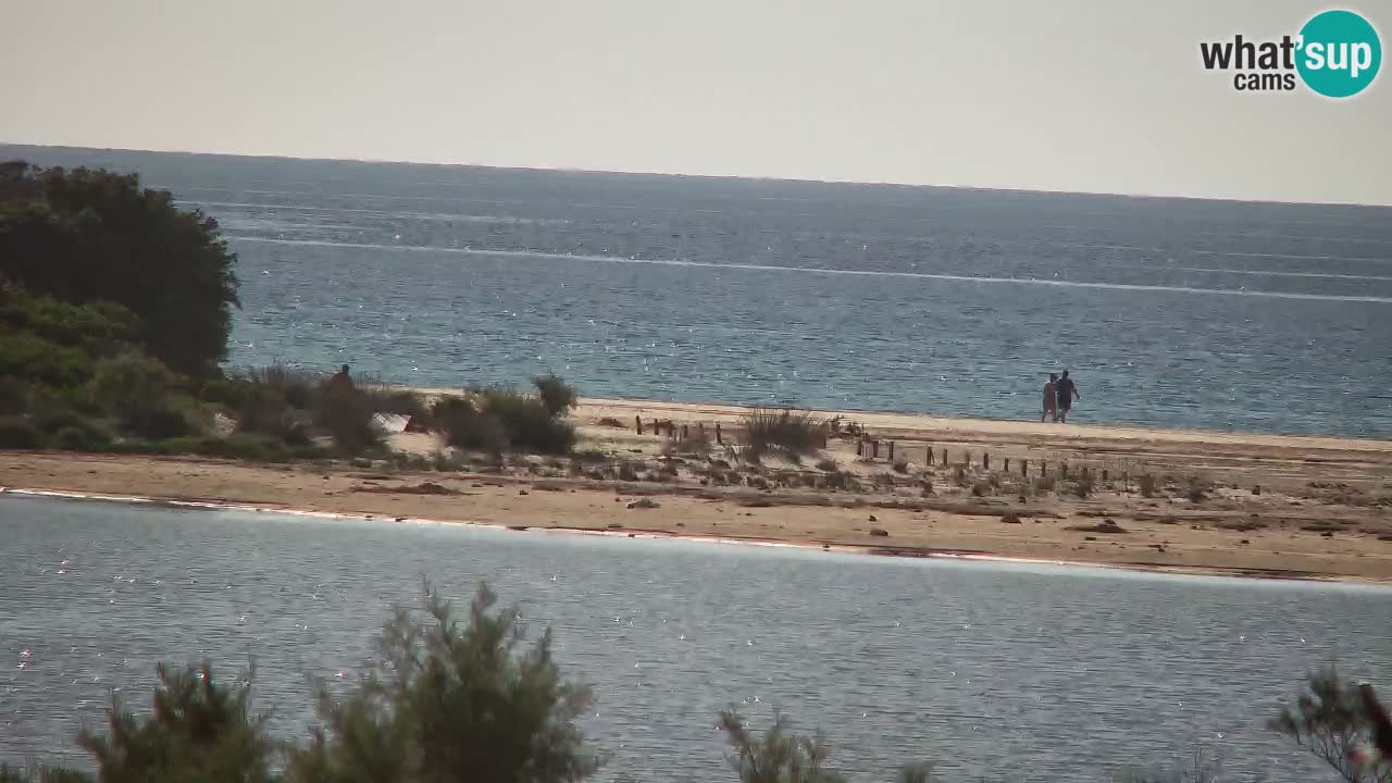 Webcam Chia – Vue en direct de la plage Su Giudeu