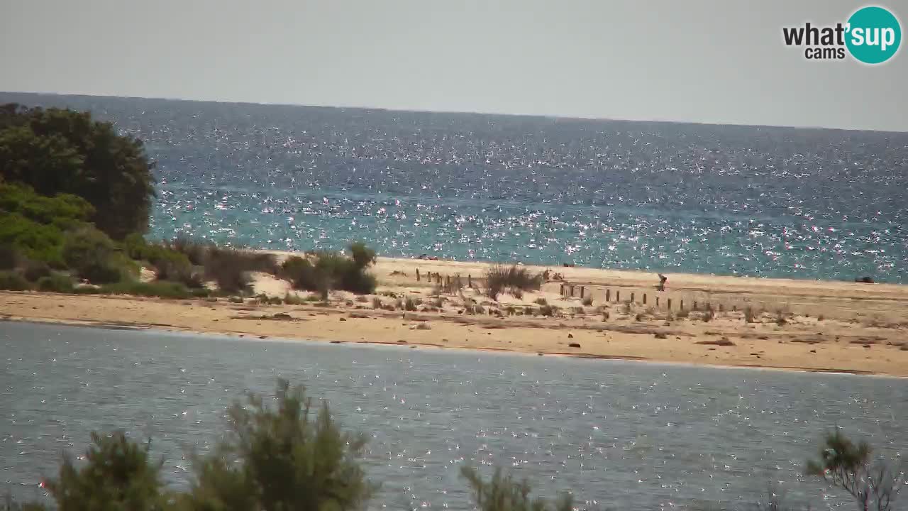 Spletna kamera Chia – Pogled v živo na plažo Su Giudeu