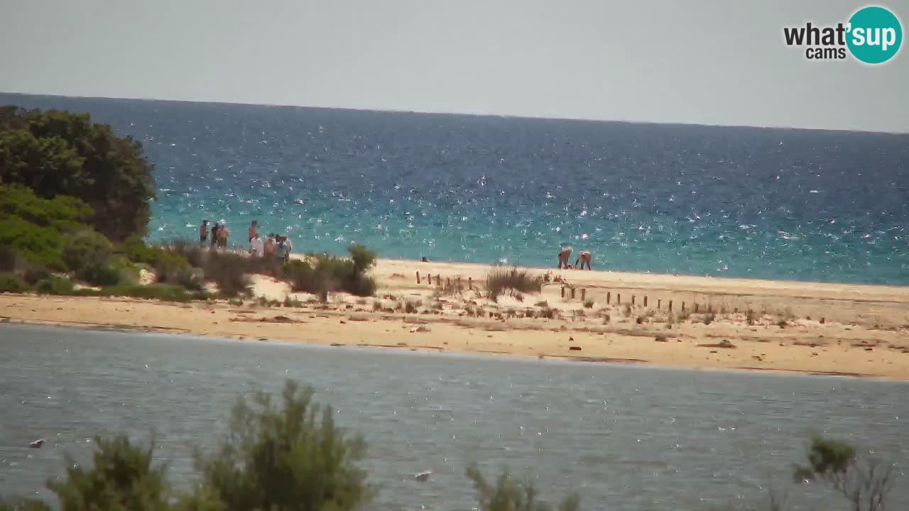 Webcam Chia – Vue en direct de la plage Su Giudeu