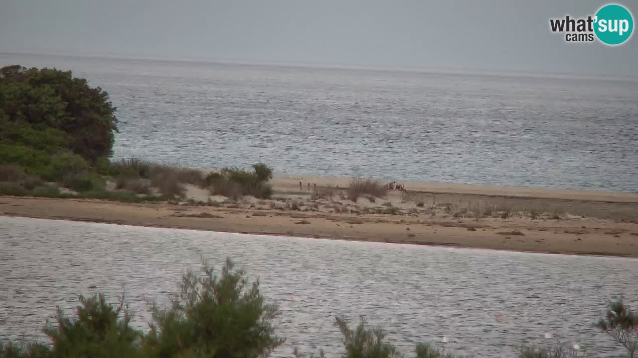 Webcam Chia – Vue en direct de la plage Su Giudeu