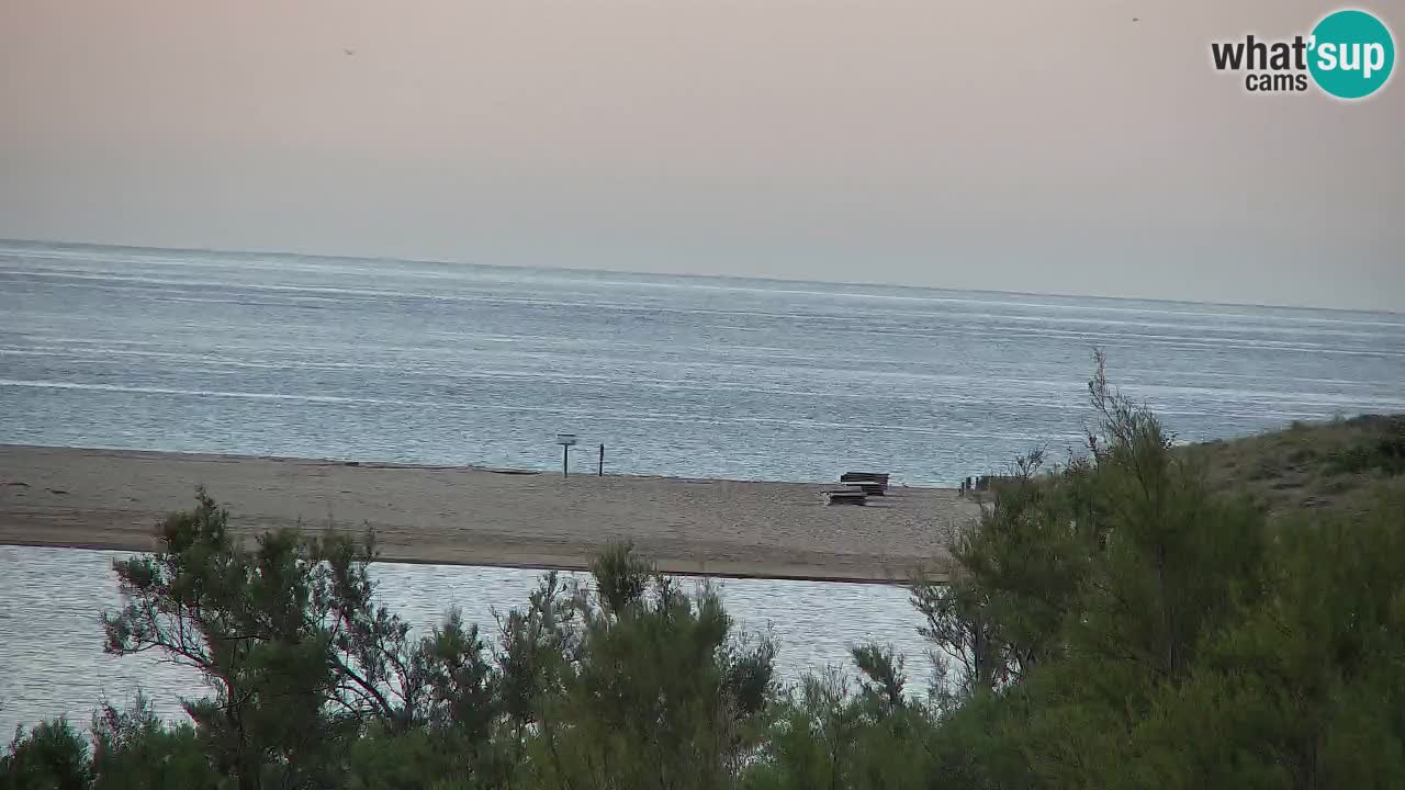 Webcam Chia – Live View of Su Giudeu Beach