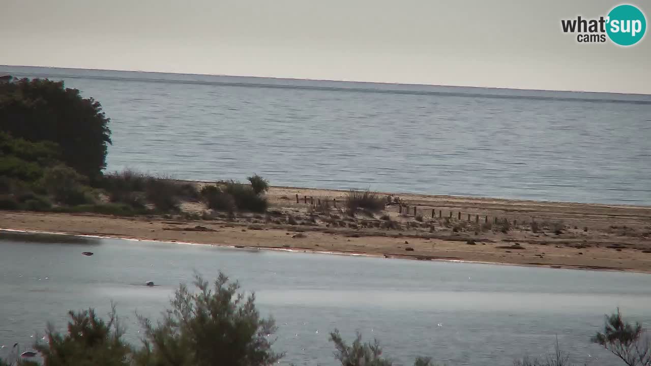 Webcam Chia – Spiaggia Su Giudeu in diretta