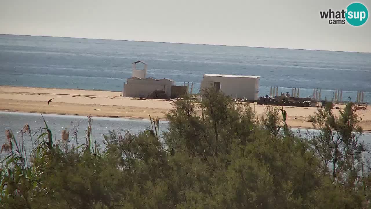Webcam Chia – Live View of Su Giudeu Beach