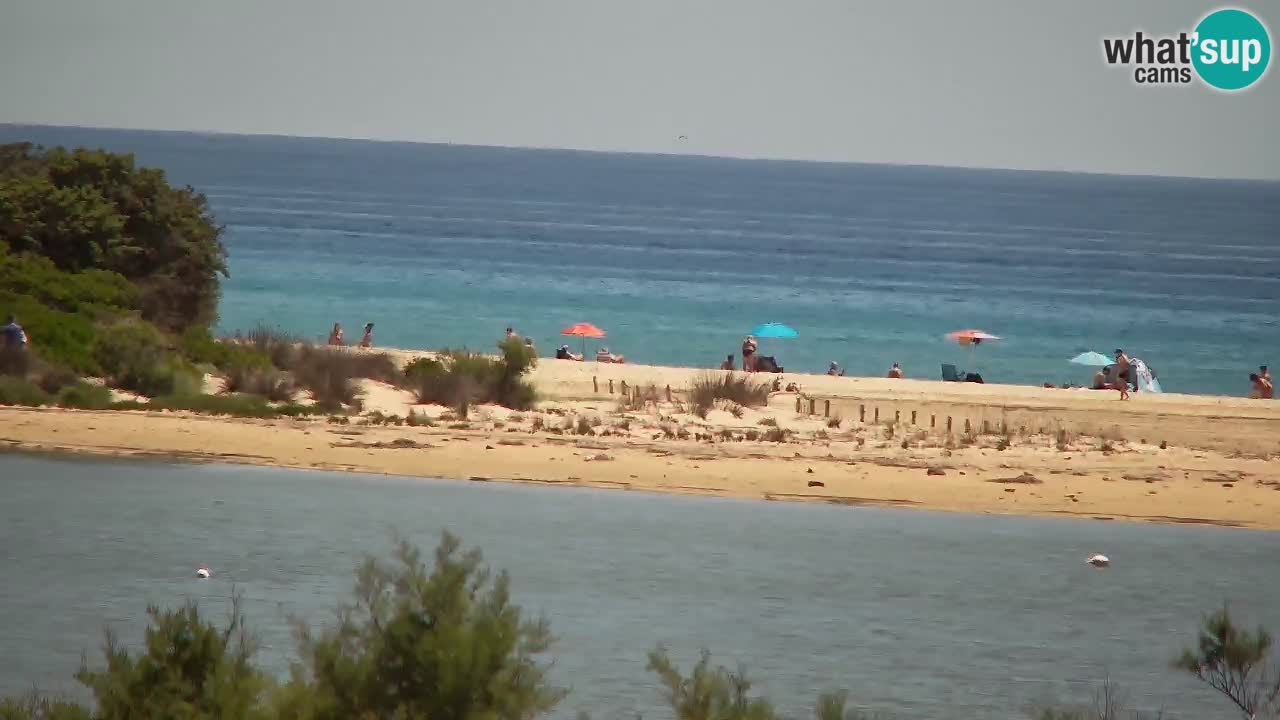 Webcam Chia – Vue en direct de la plage Su Giudeu