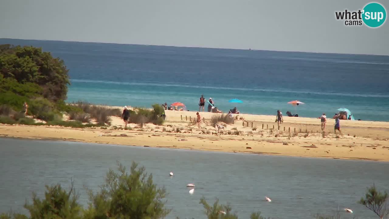 Webcam Chia – Liveblick auf den Strand Su Giudeu
