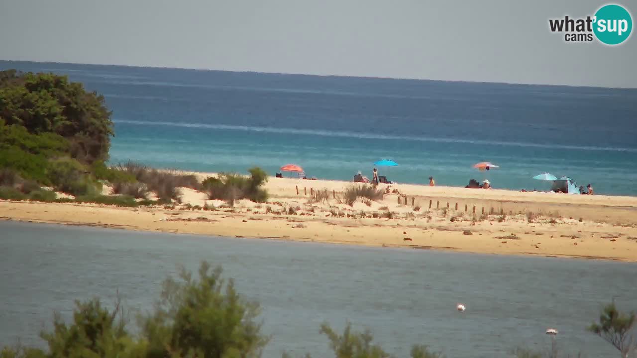 Webcam Chia – Liveblick auf den Strand Su Giudeu