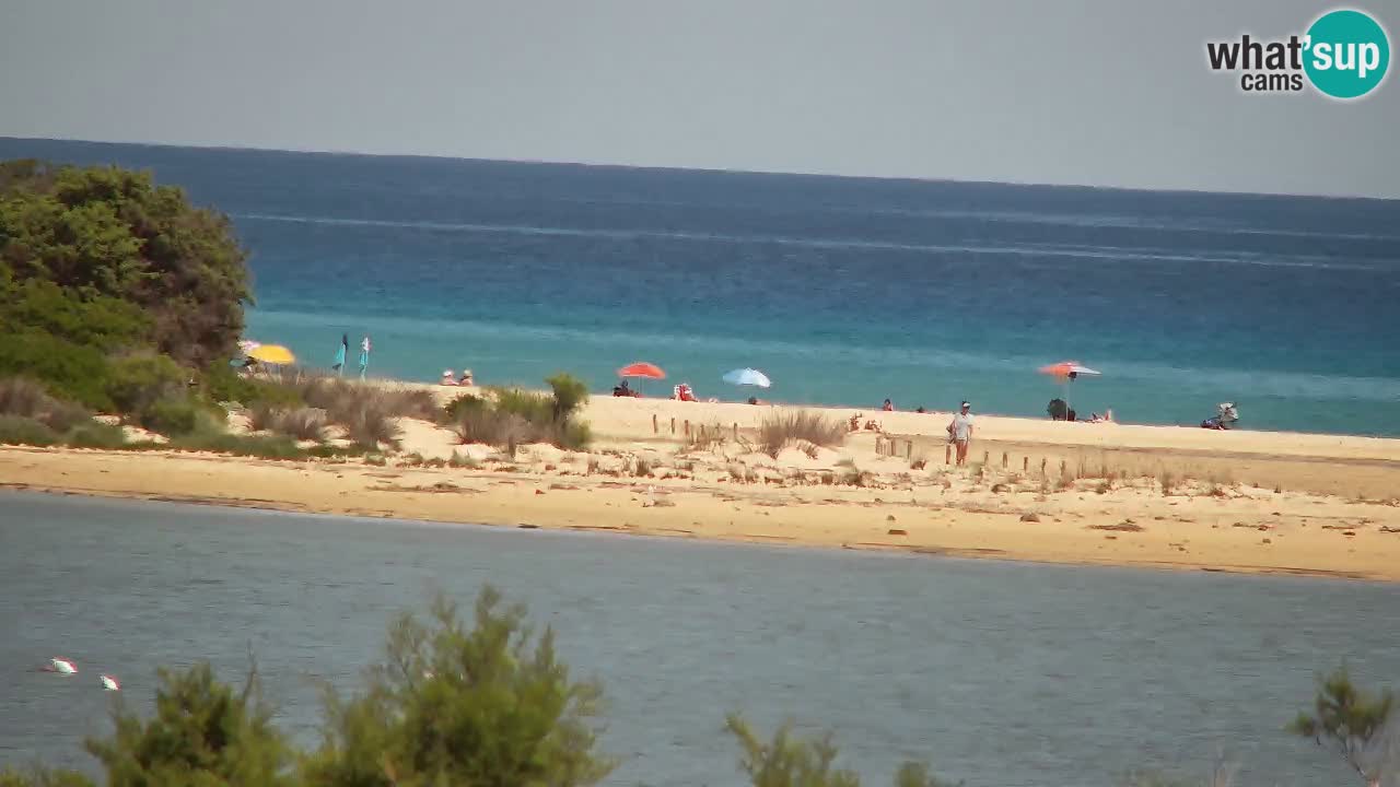 Webcam Chia – Live View of Su Giudeu Beach