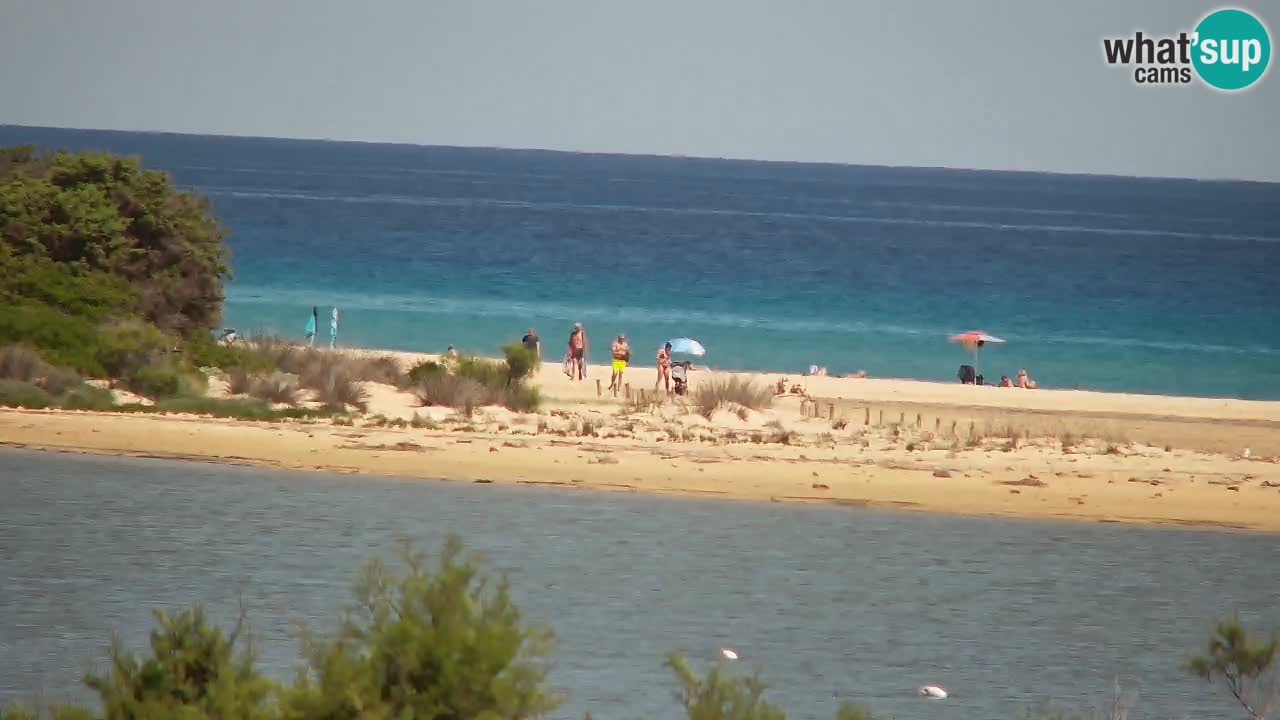 Web kamera Chia – Pogled uživo na plažu Su Giudeu