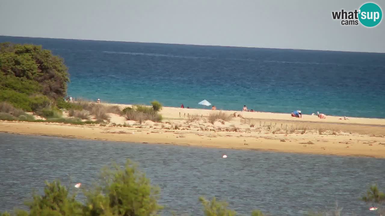 Webcam Chia – Live View of Su Giudeu Beach