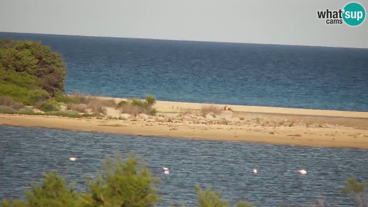 Webcam Chia – Live View of Su Giudeu Beach