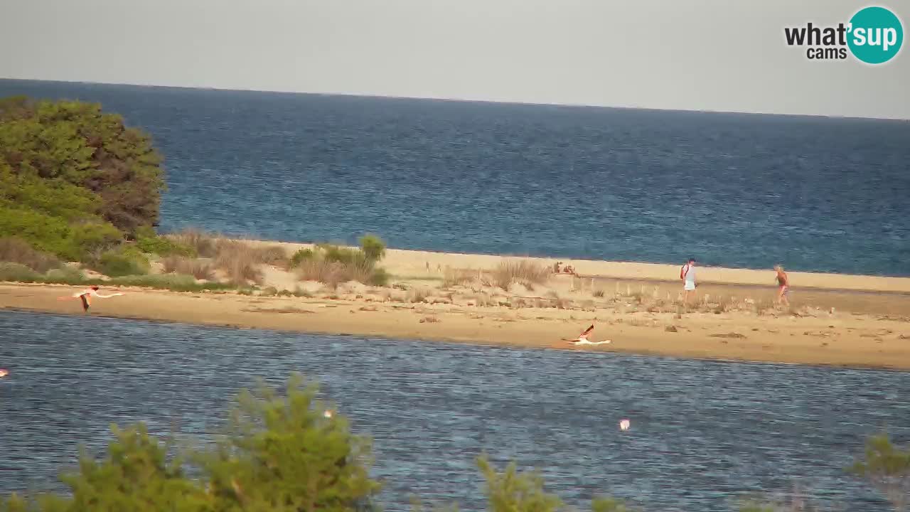 Webcam Chia – Liveblick auf den Strand Su Giudeu