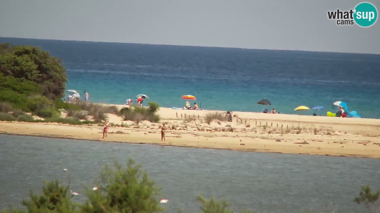 Webcam Chia – Live View of Su Giudeu Beach