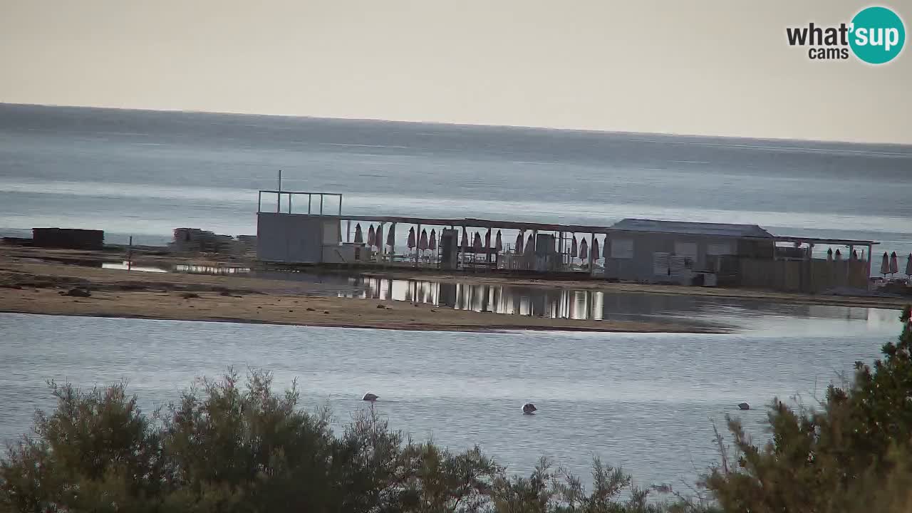 Webcam Chia – Live View of Su Giudeu Beach