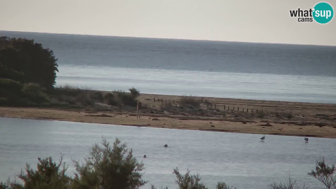 Webcam Chia – Liveblick auf den Strand Su Giudeu