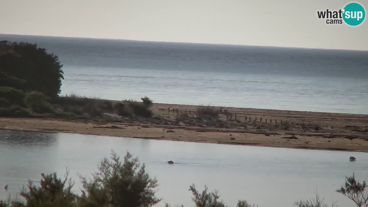 Webcam Chia – Live View of Su Giudeu Beach