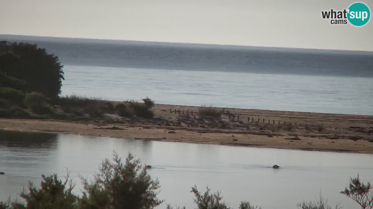 Spletna kamera Chia – Pogled v živo na plažo Su Giudeu