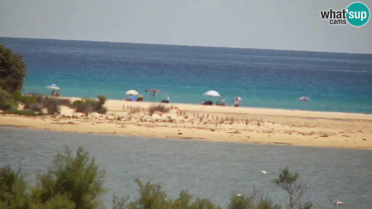 Web kamera Chia – Pogled uživo na plažu Su Giudeu