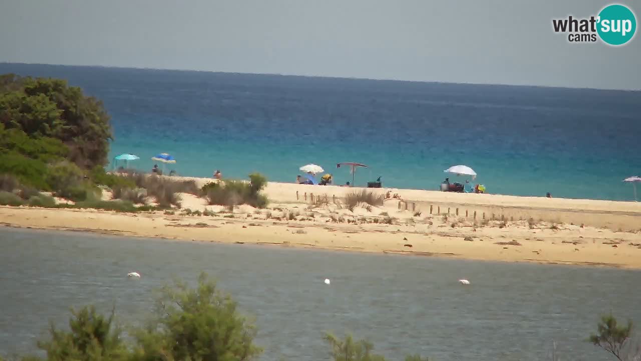 Webcam Chia – Vista en directo de la playa Su Giudeu