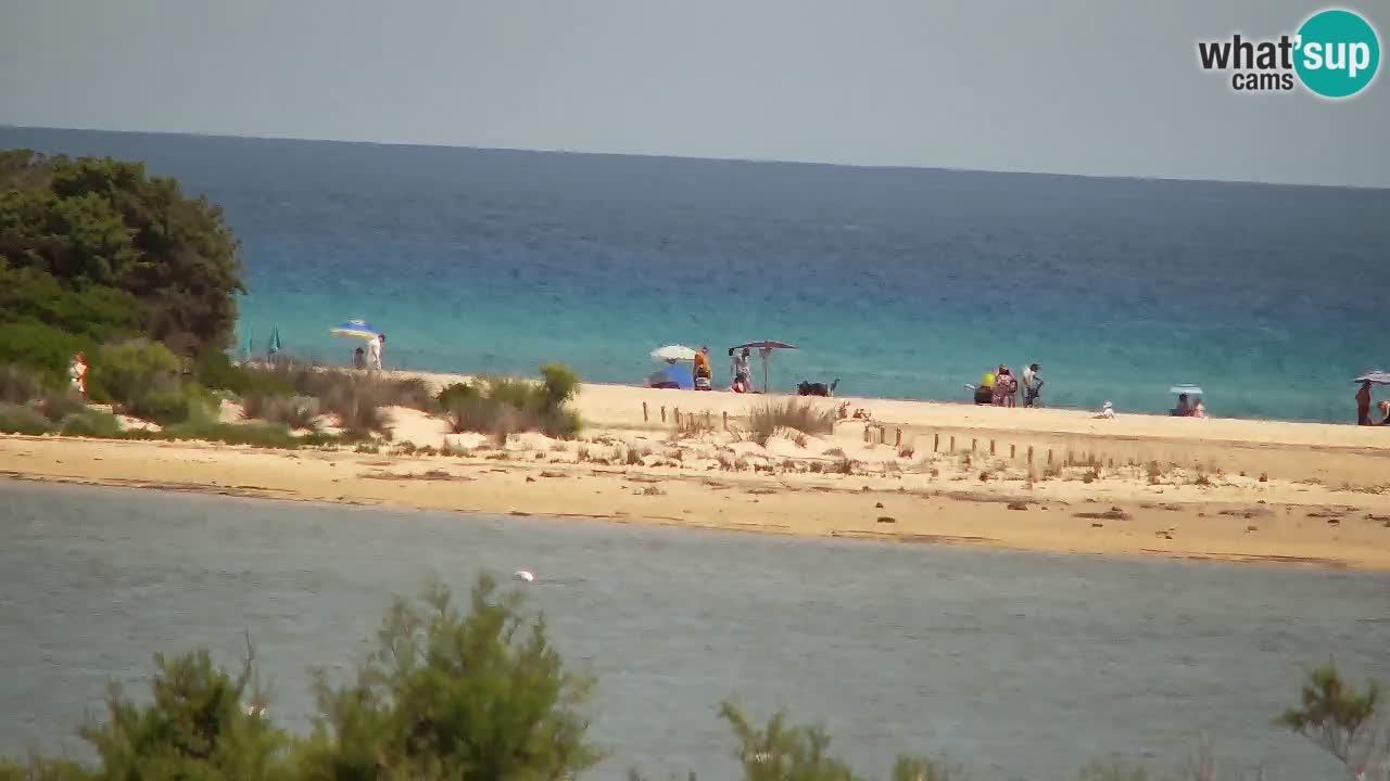 Web kamera Chia – Pogled uživo na plažu Su Giudeu
