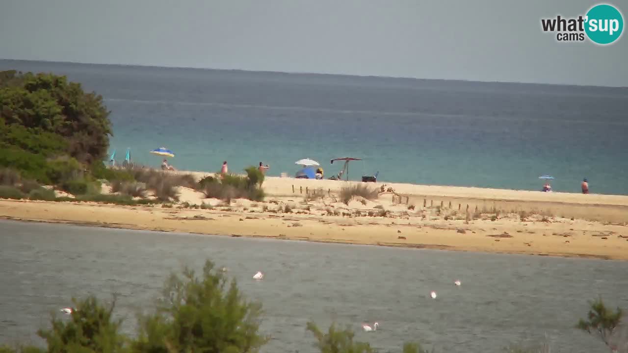 Spletna kamera Chia – Pogled v živo na plažo Su Giudeu