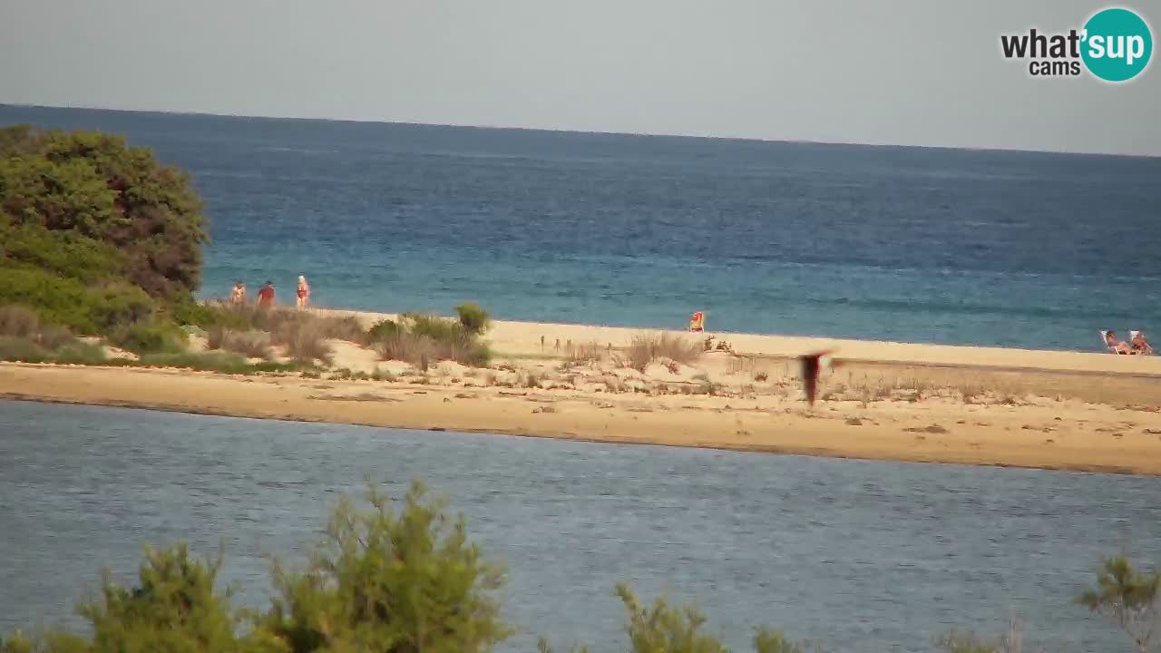 Webcam Chia – Live View of Su Giudeu Beach